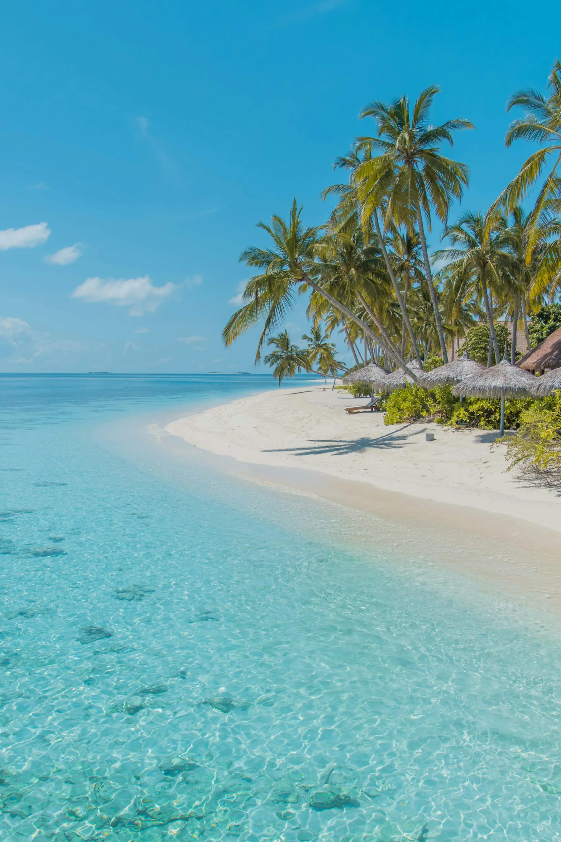 A palm-lined beach curving around a calm, shallow lagoon