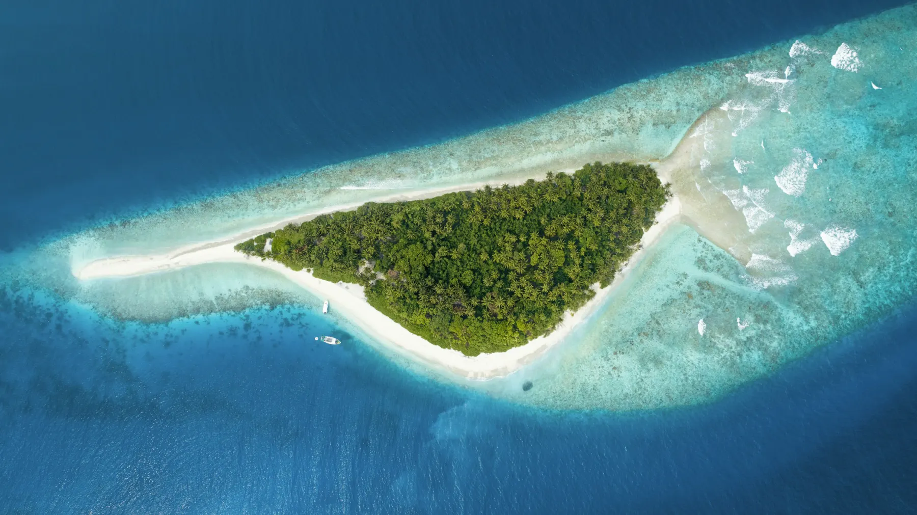 A small forested island ringed by reef in open blue water, seen from above